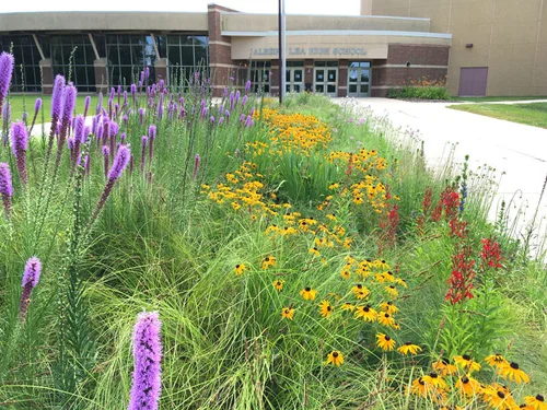 Native garden design showing plant selections for the distributed nursery